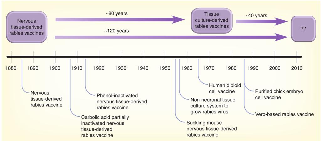 Timeline of human rabies vaccine development