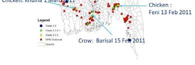ducks after die-offs Black dots are isolates from crows and chicken in February 2011 8 In 6 districts including