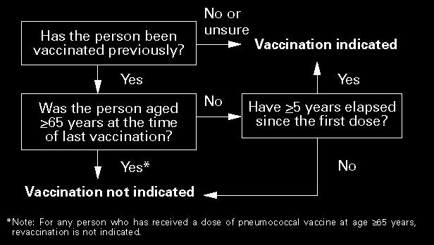 may be negative Pneumococcal Polysaccharide Vaccine 23 valent Pneumovax vaccine Appears to decrease pneumococcal bacteremia May decrease mortality Does not decrease pneumonia in older adults