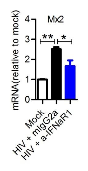 Mock +migg2a +α-ifnar PMCs (7wpi) PMCs (9wpi) C (10wpi) Supplementary Figure 2.