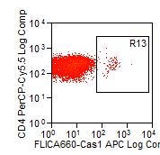Mock migg2a α-ifnar IFN-α 0.51 0.47 0.66 0.41 CD3 Caspase 1 Supplementary Figure 4.
