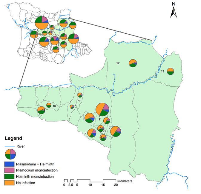 Figure 19. Spatial distribution of monoinfection and co-infection status among hamlets of the four villages within Bagamoyo, coastal region of Tanzania.