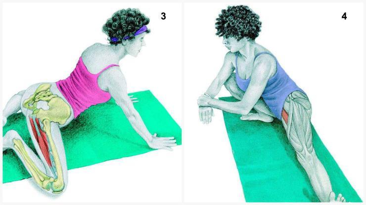 Pull the balls of your feet to stretch out your calf muscles. You can also use a belt if you can t reach your feet. 3. Frog Pose Muscles emphasized: adductors.