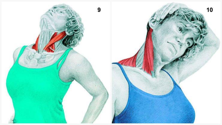 You can also use your left arm to apply pressure on the right side of your chin. 9. Neck Extension Stretch Muscles emphasized: sternocleidomastoid SCM.