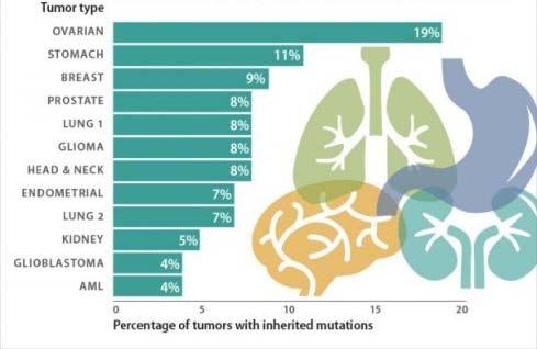 Cancers caused by inherited mutation https://www.