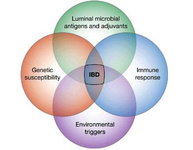 IBD Disease