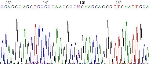 Markerul genetic uman IL28B SNP rs12979860: CC asociat cu SVR TT and CT