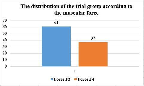 - the evaluation of the muscular force in order to analyse the motor deficit by using the Medical Research Council scale [32, 33, 34] - the modified Ashworth scale in order to evaluate the muscular