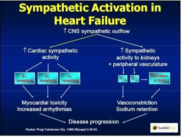 CVP and Heart Failure Kaplan-Meier Analysis of Event-Free Survival According to Tertiles of CVP Damman, K.