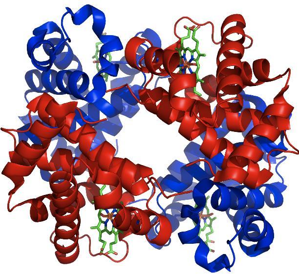 Tertiary & Quaternary Structures tertiary structure: formed by interactions between protein s secondary structures quaternary structure: multiple secondary structures interactions
