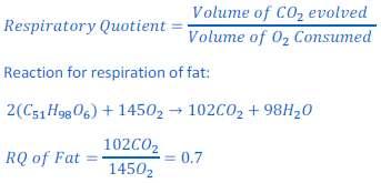 Question 10 - Define RQ. What is its value for fats?