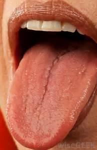 Q3. Explain: Our Tongue It is a Muscular organ that helps to move the food in the mouth