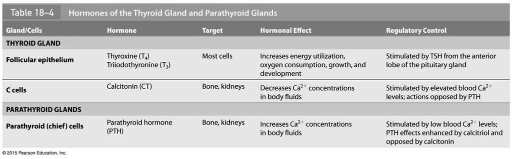 Thyroid and Parathyroid Hormone Summary! Source, hormone, target, effect(s) on target, control of secretion 35! SECTION 18-6!