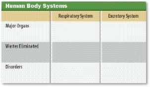 The Respiratory System 1. The respiratory system brings oxygen into the body and removes carbon dioxide. 2.
