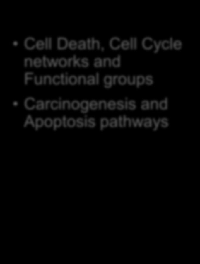 groups Carcinogenesis and Apoptosis