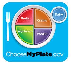 General Food Choices- YOU ARE WHAT YOU EAT! Currently the best guidelines for food portion and balanced meals follow the my plate diagram.