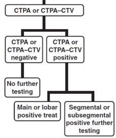 CTPA or V/Q scintigraphy Or Angiography