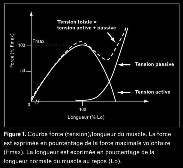threshold changes with the stimulation level total tension force (%F max )