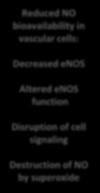 function Disruption of cell signaling Destruction of NO by superoxide Organ Responses Altered endothelialdependent