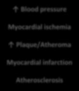 proliferation/vascular remodeling Individual Responses Blood pressure Myocardial ischemia Plaque/Atheroma Myocardial