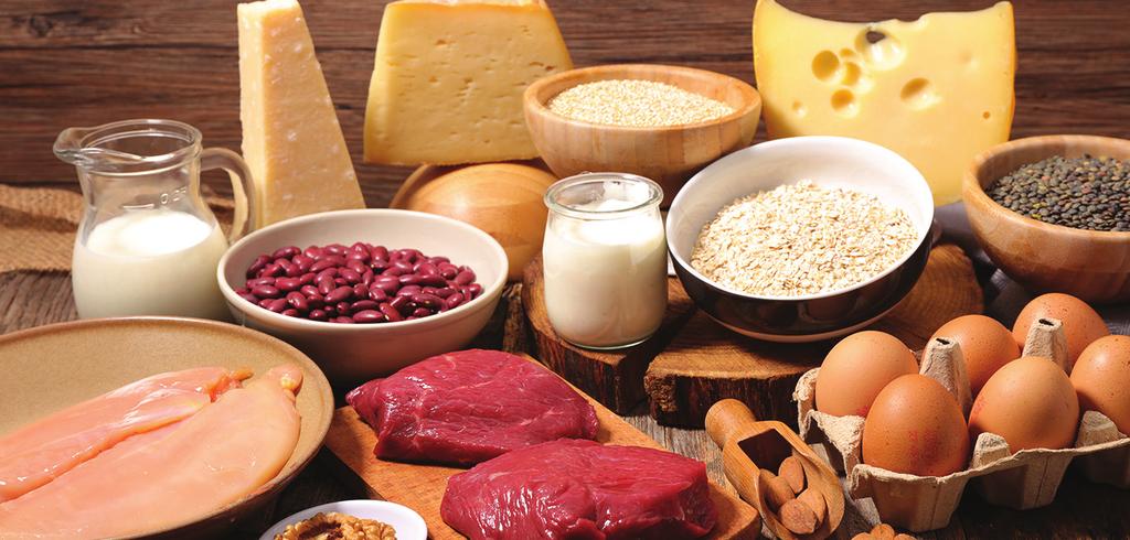 The truth about protein You probably often get told that you need to eat lots of protein in your diet!