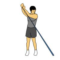 Raise your body using your hamstrings until your upper body is vertical. 5. Return to start position. Reverse Wood Chop with bands or cable Reverse Wood Chop with bands or cable 1.