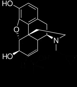 Heroin xycodone H H 3C H H 3C H3C H3C H H H 3C