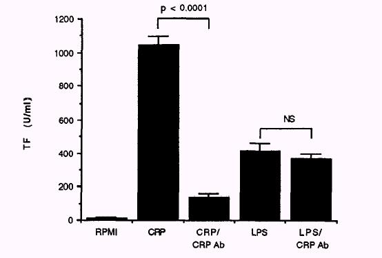 CRP INDUCES TISSUE FACTOR SYNTHESIS IN HUMAN