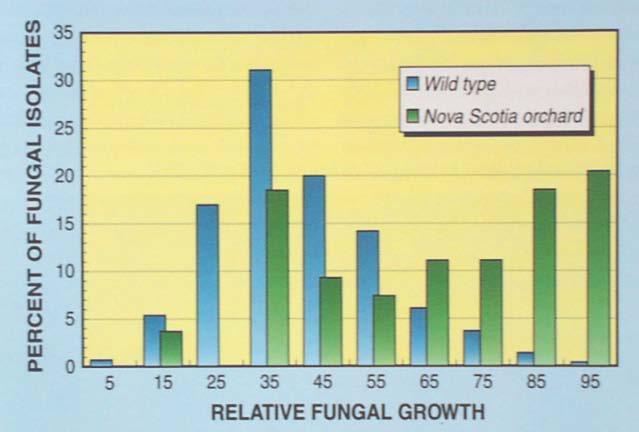 Selection pressure due to fungicide From: Koller, Wilcox, & Olson. 1996. Down to Earth 51:20-24.