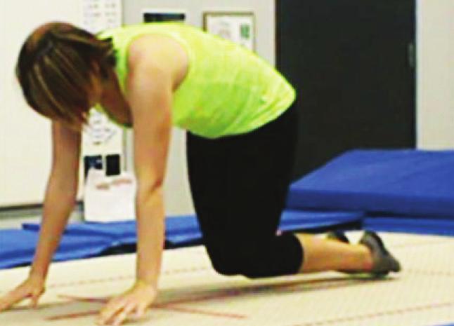 Rebound Therapy Australia Gymnastics NSW have been working in partnership with Rebound Therapy.