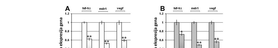 REZULTATI Slika 18. Kvantitativni prikaz promene relativne ekspresije irnk gena uključenih u progresiju tumora pod dejstvom SF a kod NCI H460/R i U 87 TxR.