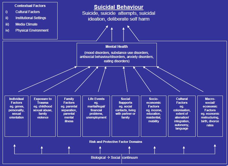 Pathways to suicidal behaviour New