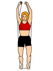 Standing Shoulder Press with tubing 1) Step onto tubing with feet hip width apart and knees slightly bent. 2) Start position: Grasp handles with overhand grip (palms down) and shoulder width apart.