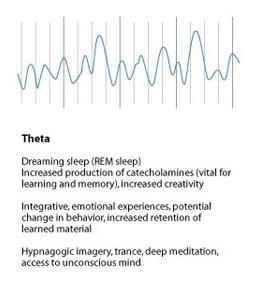 4) Theta (DEEPER TRANCE) Frequency range from 4 Hz to 8 Hz Associated with drowsiness, childhood, adolescence, and