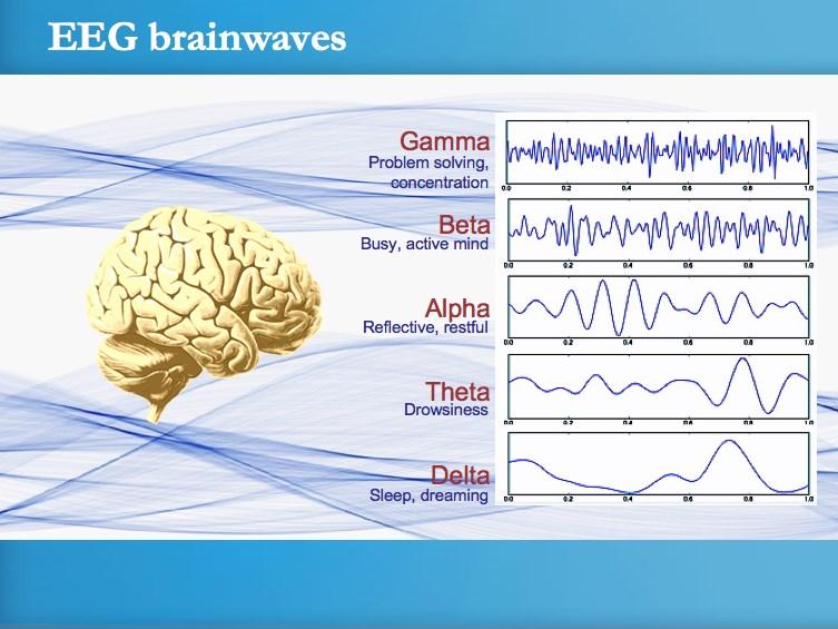 Also. Gamma Waves Frequency range 26-100 Hz Involved in higher mental
