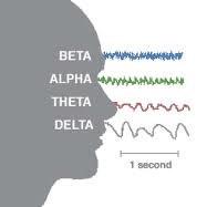 There are 4 major type of brain waves: Was