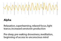1) Alpha (THE ZONE) Middle frequency; 12-16 Hz (Hz means how many