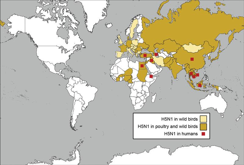 Areas reporting confirmed H5N1 since 2003 Spreading rapidly through wild bird population High mortality rate among