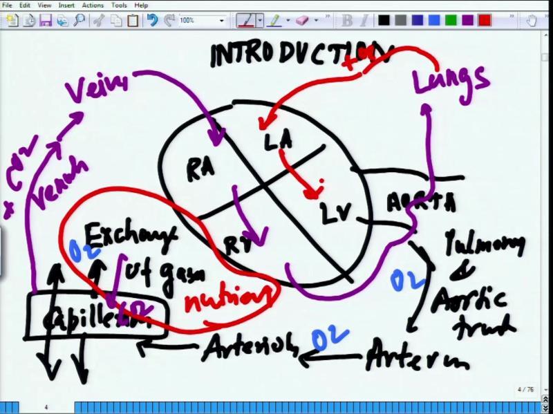 (Refer Slide Time: 04:53) Coming back to the introduction, so as we are already talked about the heart and which consists of four chambers, we know that right atrium, left atrium, right ventricle and