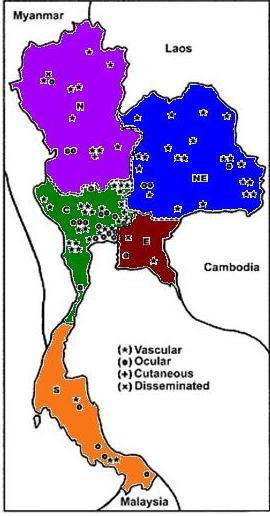 Natural resource Pythiosis in Thailand : 1985-2003 Clinical case HIGHEST INCIDENCE in Human Supanpandu et al.