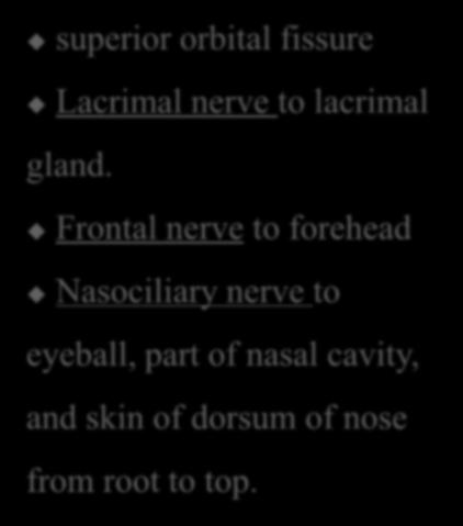 Nasociliary nerve to eyeball, part