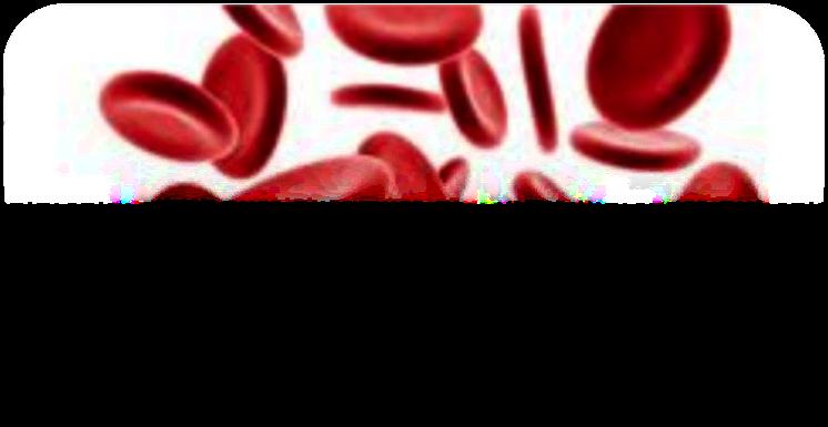 Anemia management 75 year old female,
