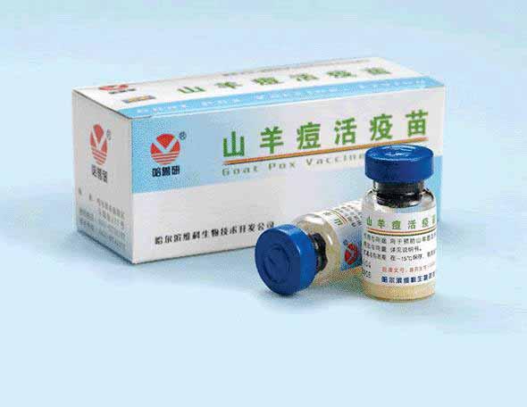 In China,the attenuated goatpox vaccine was used to prevent goat and sheep pox disease. The attentuated virus vaccine strain(av41) which was widely used in China since 1984.