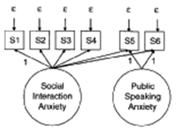 Error Covariances Actually Represent Multidimensionality From Brown (2006) Here there is a general factor of Social Interaction Anxiety that includes two items dealing with public speaking