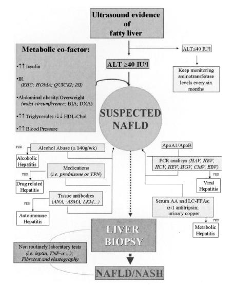Diagnosis Manco M, et al. NAFLD in children.