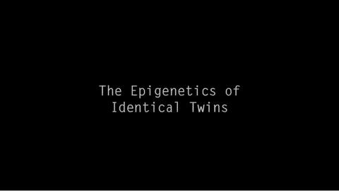 The epigenetics of