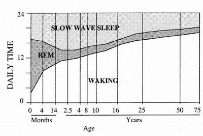 Changes with Age Normal sleep cycle Decreased NREM & REM sleep Increased awakenings and easy arousal less sleep : average 70-years old sleeps only 6 hr/d with often daytime nap (1-2hr) have greater