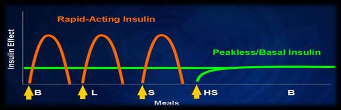 Regimul bazal-bolus = insulinoterapie intensivă Ultima treapta a a algoritmului ADA/EASD; Se adaugă a 3 priză de IP, astfel încât doza totală de IP să reprezinte 40-50% din doza de IB; Dozele de IP