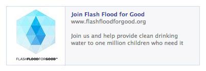 Flash Flood for Good Raising awareness and membership Their Goal Create a swell of awareness for safe drinking water, and convert people into members and donors.