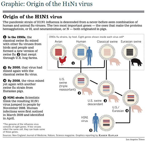 Kaplan K. How the new virus came to be.
